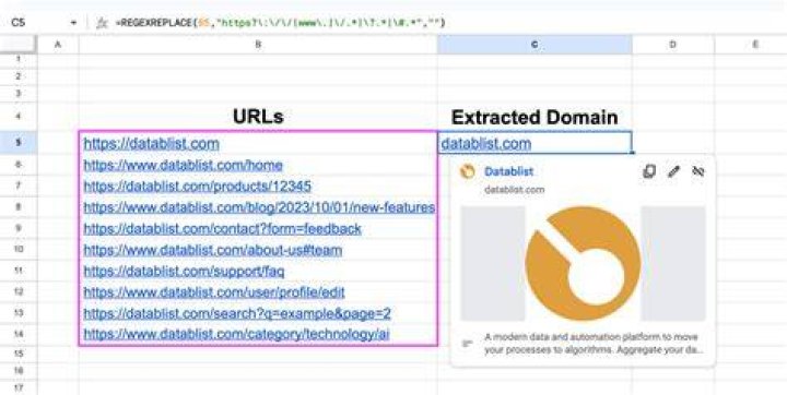 Extracted URLs