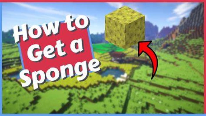 How do I get the sponge?