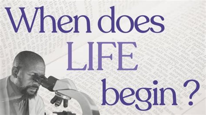 How does life on hit work?