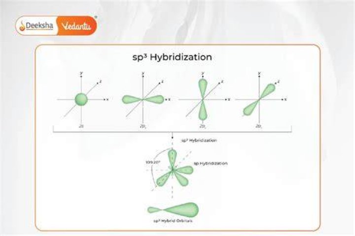 What does "SP" do?