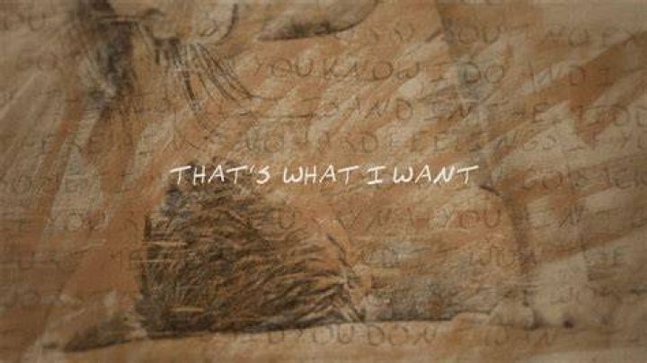 what I want